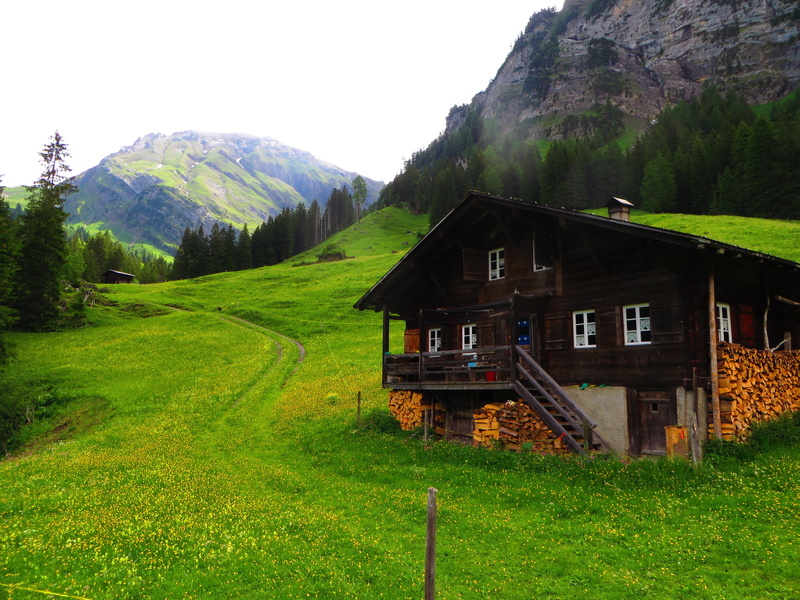 Switzerland, Bernese Alps, grass, mountains, Swiss Alps, Chalet, Green, Lenk, Pine Trees, Alps, 4K
