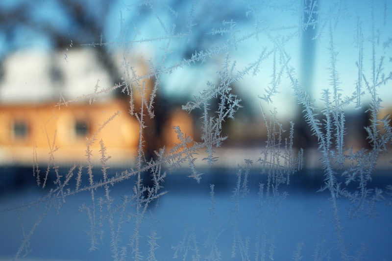 cold temperature, ze, 2K, no people, Winter, focus on foreground, outdoors, nature, blue, close-up, Ice, backgrounds, full frame, Frost, icy, weather