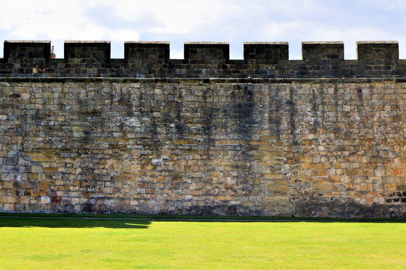 castle, field, weathered, sky, architecture, nature, united kingdom, harry potter, stone, alnwick, built structure, plant, 4K, wall - building feature