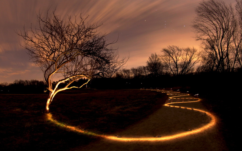 light, hd, 1080P, painting, tree, night, trail, nature, path