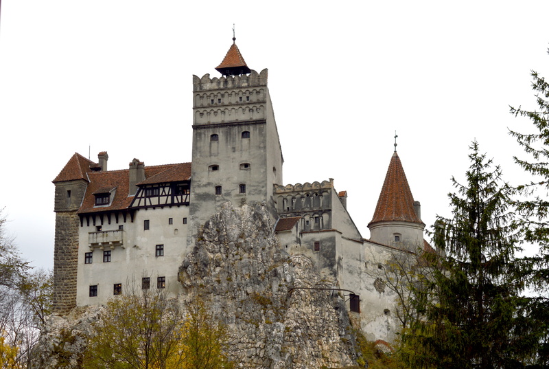 medieval, travel destinations, building, Romania, plant, tower, architecture And Buildings, Bran, building Exterior, no people, clock tower, built structure