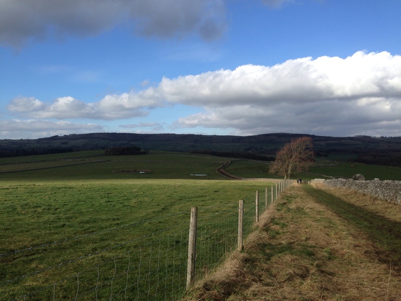 nature, no people, day, land, england, english, outdoors, peak, environment, farmland, cloud - sky, fields, field, barrier, green color, fence, derbyshire