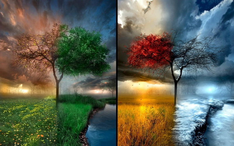 growth, sunset, scenics - nature, 720P, tranquil scene, leaves, outdoors, rain, nature, idyllic, power in nature, trees, seasons, grass, tree, snow, reflection