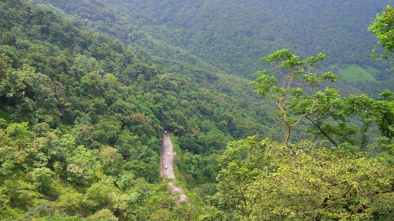 nature, idyllic, scenics - nature, foliage, beauty in nature, forest, road, environment, green, wayanad, outdoors, mountain, landscape, high angle view