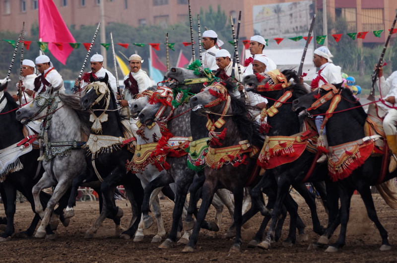 domestic animals, festival, morocco, event, real people, day, large group of people, outdoors, mammal, traditionnal, livestock, parade, horses, uniform