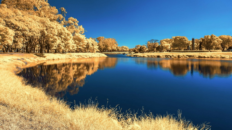 reservoir, reflection, california, lake, blue sky, landscape, wilderness, sky, 1080P, bank, autumn, castaic lake, nature, water, united states, tree