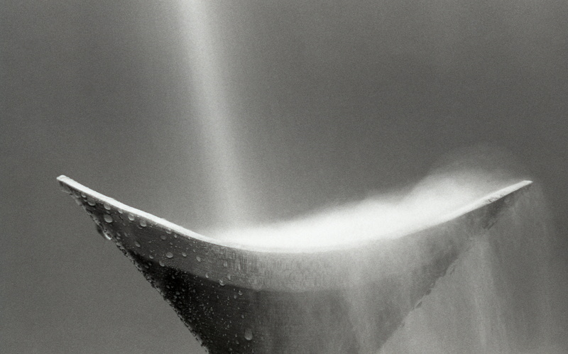 close-up, film grain, 5K, water drops, white color, one animal, still life, no people, drop, single object, nature, bowl, animal themes, steam, experimental
