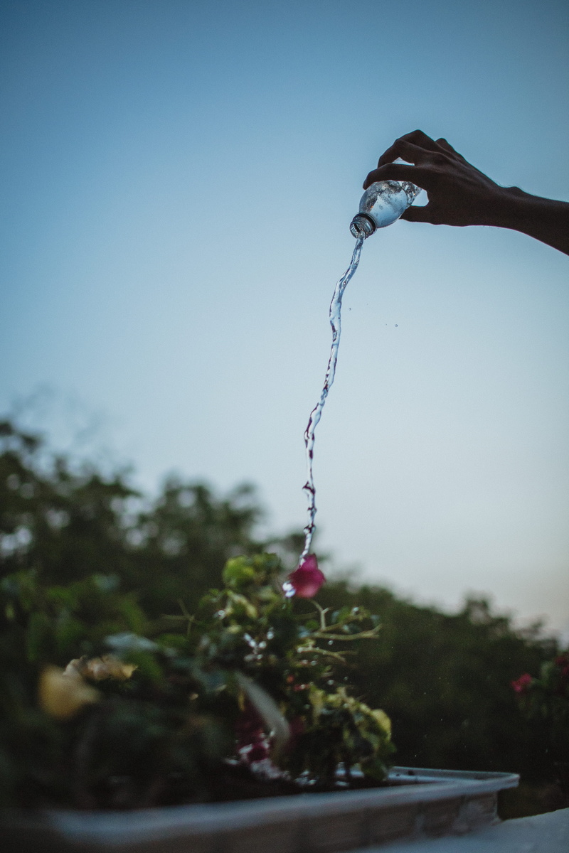 falling, drop, hand, close-up, window shade, home decor, focus on foreground, purity, rope, growth, flowing water, accessory, tree, outdoors, wrist, flooring
