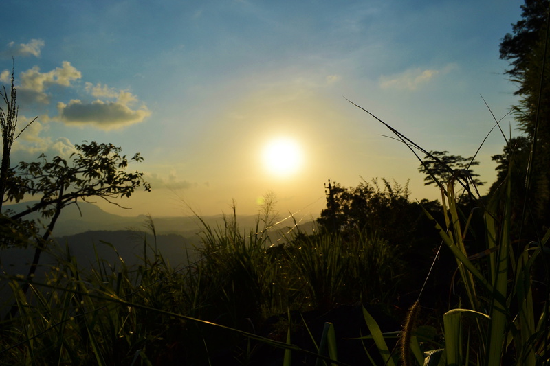 silhouette, landscape, tranquility, lens flare, land, ceylon, outdoors, sun set, trees, sunlight, scenics - nature, blue sky, sri lanka, field, sunset
