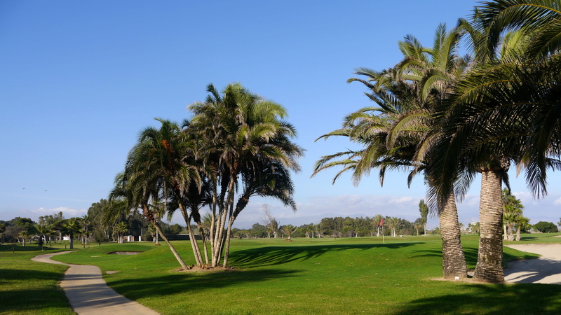 golf, walkway, beauty in nature, day, vegetation, nature, plant, andalucia / spain, andalucia, green color, tranquil scene, arecaceae, path, outdoors, tropical