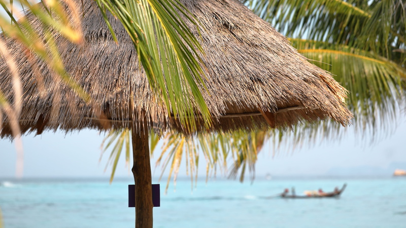 tropical climate, tranquil scene, 5K, plant, koh, person, beach, bird, countryside, umbrella, no people, land, sea, tree, thailand, tranquility, arecaceae