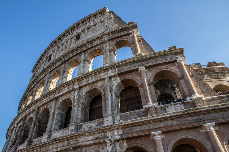 colosseum, travel, rome, arched, low angle view, daytime, arts culture and entertainment, plant, ancient, ancient civilization, arecaceae, old ruin, building