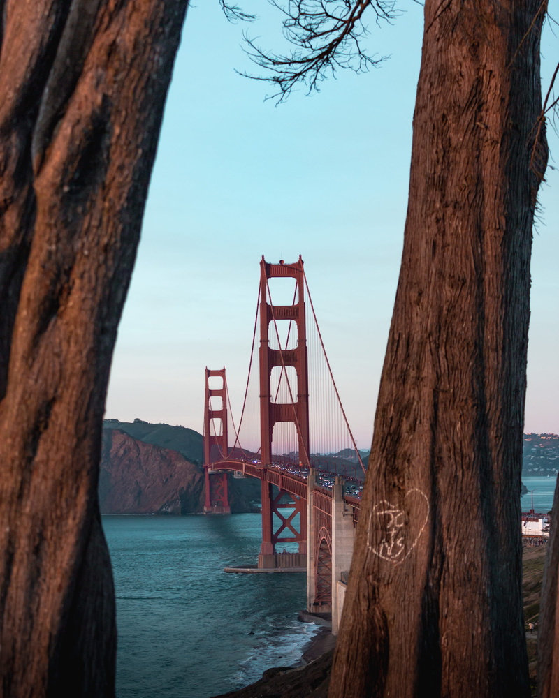 redwood, handrail, long, tree, san, trees, bay, tree trunk, gate, california, francisco, golden gate bridge, building, bridge - man made structure, 2K