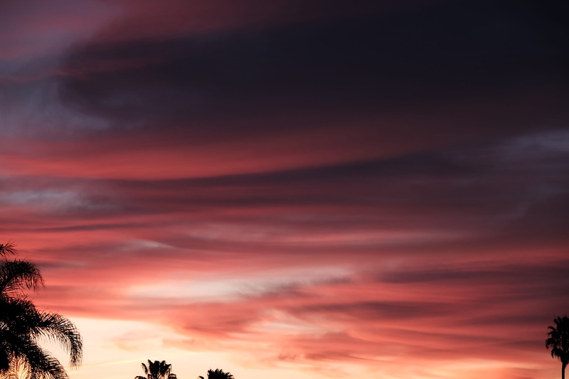 tranquil scene, landscape, cloudscape, vegetation, sky, awe, tranquility, red, no people, beauty in nature, bush, palm tree, panoramic, romantic sky, tree