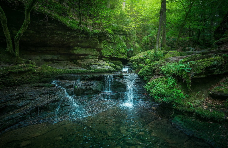 rainforest, moss, power in nature, 720P, natural light, water, body, motion, land, scenics - nature, long exposure, green color, tree, Germany, landscape