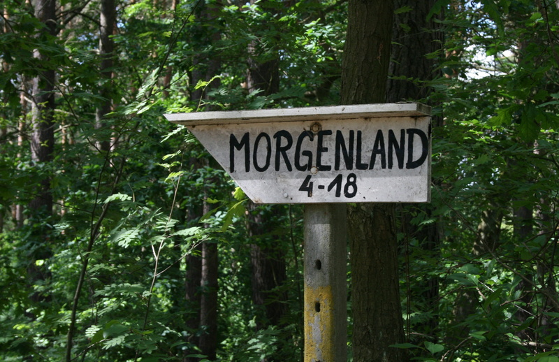 town sign, tree, no people, sign, shield, land, day, information, plant, strange, village, direction, note, guidance, tomorrow land, arrow symbol, 2K
