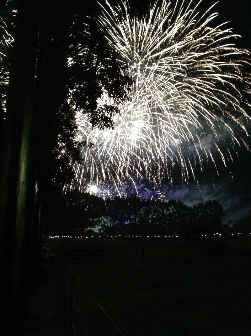 tomorrow, light, glowing, dark, explosive, nature, time, 2K, party, young, land, no people, event, electronic, illuminated, maeda farm, sparks, outdoors