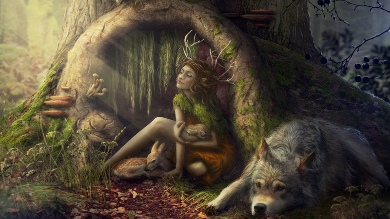 outdoors, day, Wolf, land, spirituality, plant, human representation, religion, statue, representation, Tree, 1080P, art and craft, creativity, trunk