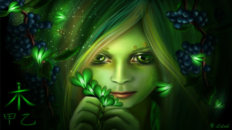 1080P, woman, portrait, Sylvan, Fantasy