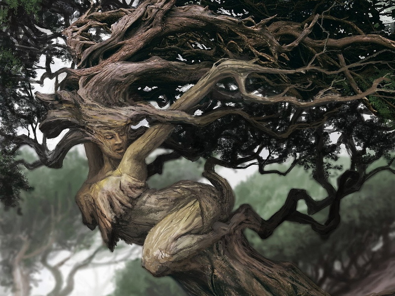 Fantasy, 1080P, Sylvan