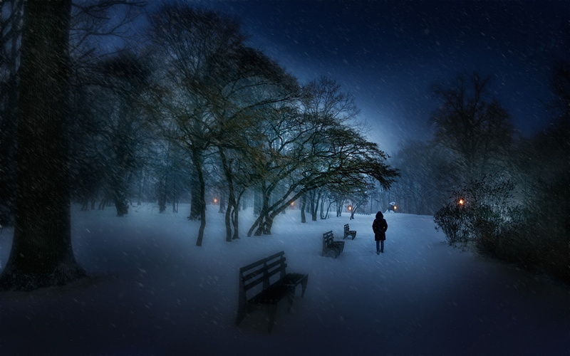 cold, beauty in nature, sky, bench, lights, landscape, plant, tree, snowing, night, real people, 1080P, evening, outdoors, scenics - nature, nature, land
