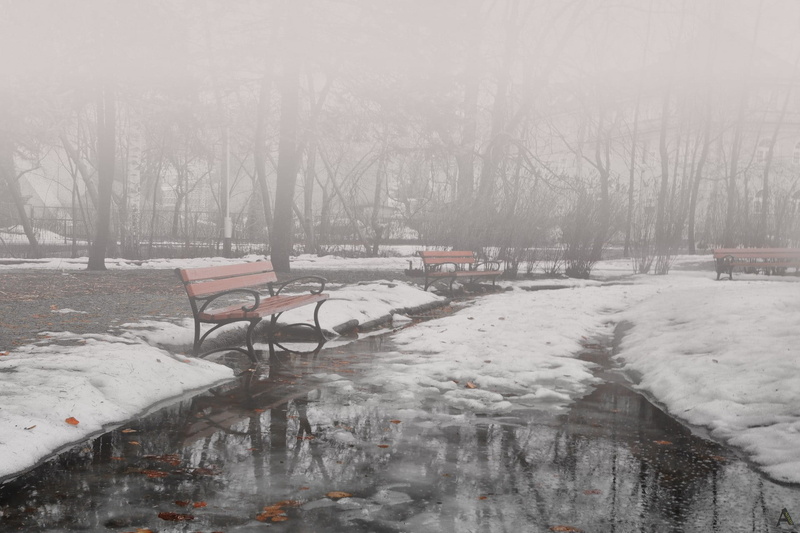 outdoors, 1080P, snow, tree, frozen, environment, winter, beauty in nature, bare tree, seat, plant, day, extreme weather, park, covering, scenics - nature