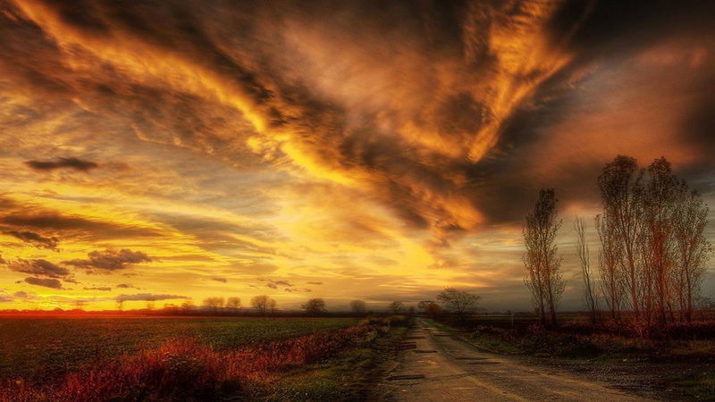 tranquil scene, life, direction, sky, scenics - nature, environment, tranquility, plant, bye, outdoors, nature, sunset, dramatic sky, rural scene, beauty in nature