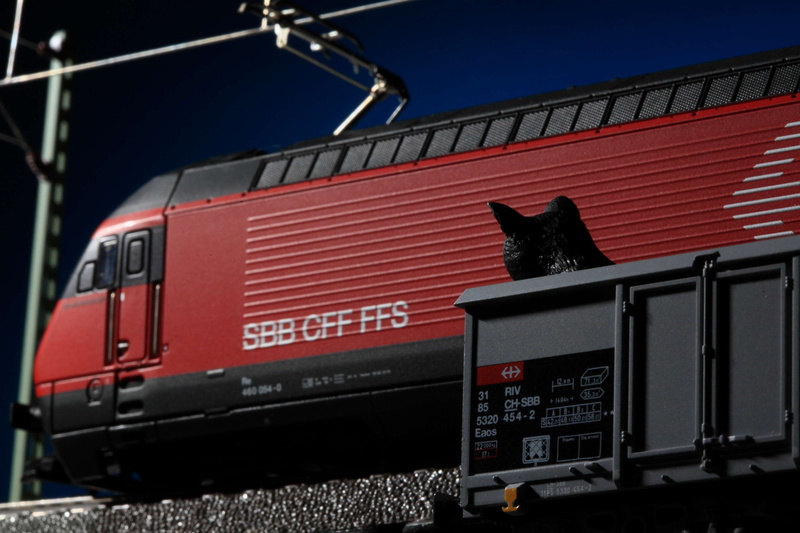 power line, sign, railway, black, sbb, re460, toy cat, feline, western script, pets, no people, sadness, lighting, detail, animal, ffs, electric, communication