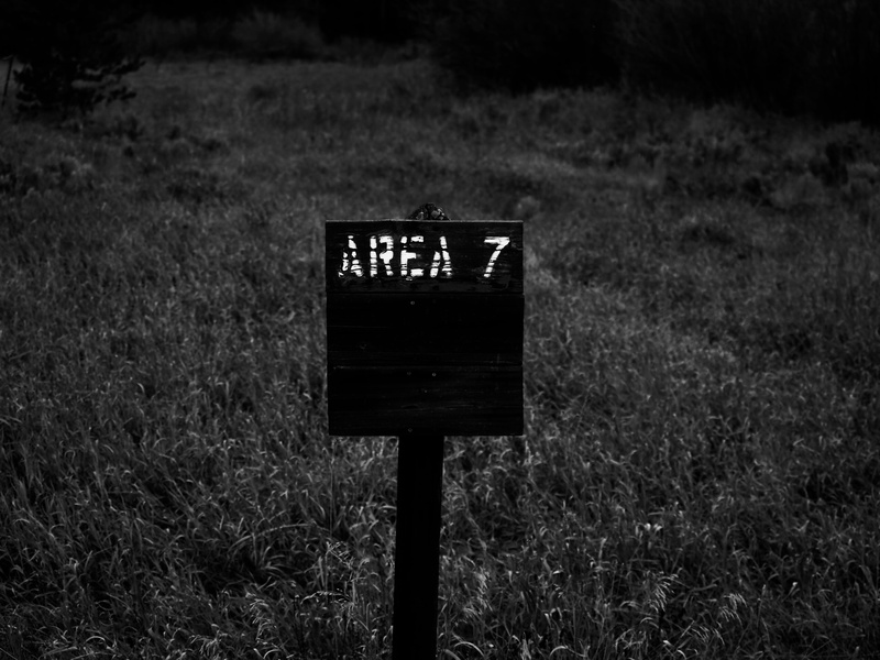 wooden post, outdoors, mailbox, communication, plant, area 7, land, sign, western script, 5K, ever wild, growth, text, number, day, close-up, focus on foreground