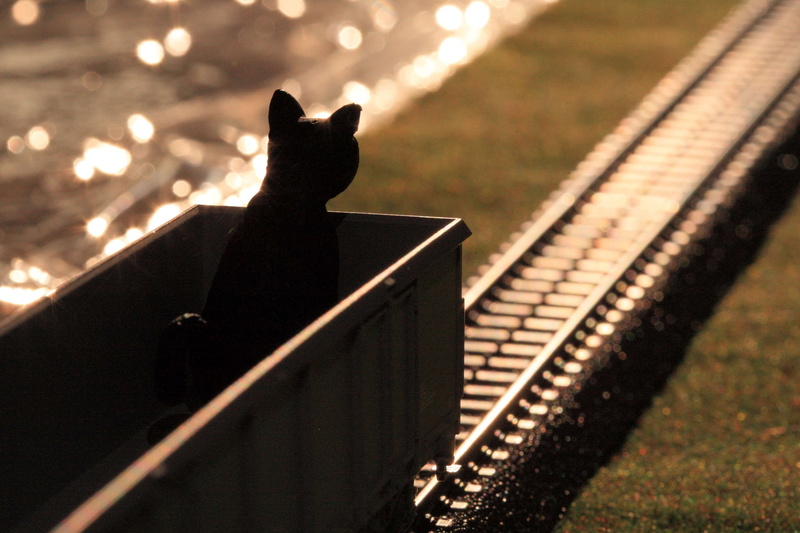 model, lighting, toy cat, nature, animal themes, 4K, mammal, domestic, outdoors, focus on foreground, day, no people, domestic cat, figure, bye, cat, sunlight
