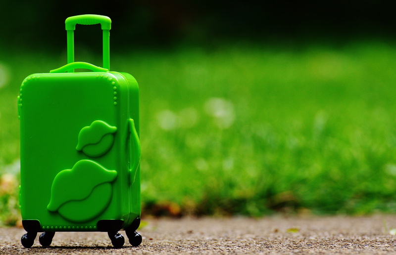 green, holiday, day, embossed, go away, holidays, outdoors, soil, lawn, close-up, good bye, plant, selective focus, on the go, green color, luggage, nature