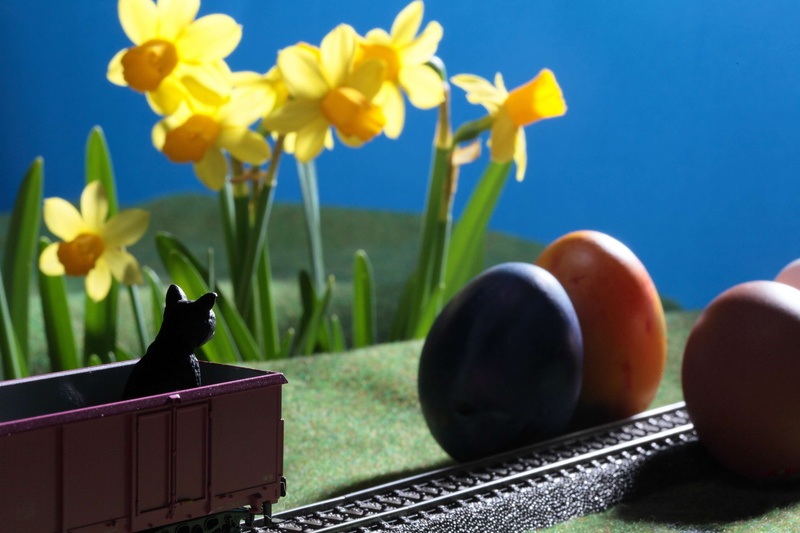 green color, one animal, bye bye last week, easter, 4K, model, railway, mammal, yellow, plant, freshness, animal, beauty in nature, blue, vase, egg, figure