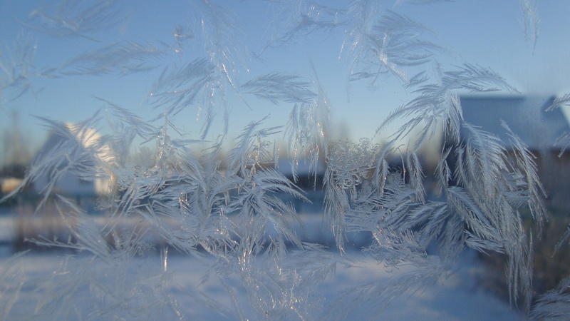 nature, outdoors, tranquility, growth, field, 4k frosted glass background, day, plant, 4K, snow, tree, winter, glass - material, beauty in nature, scenics - nature