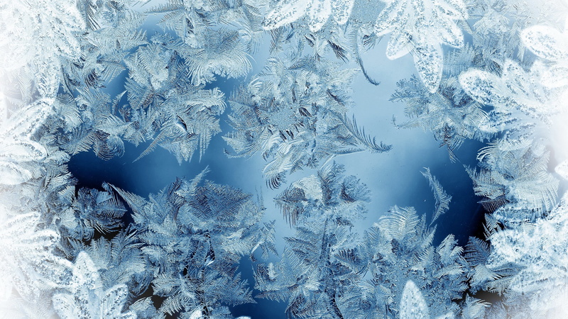 frozen, crystal, 4K, frost, tree, white color, snow, no people, nature, winter, full frame, frosted glass  wide hd, window, snowflake, outdoors, backgrounds