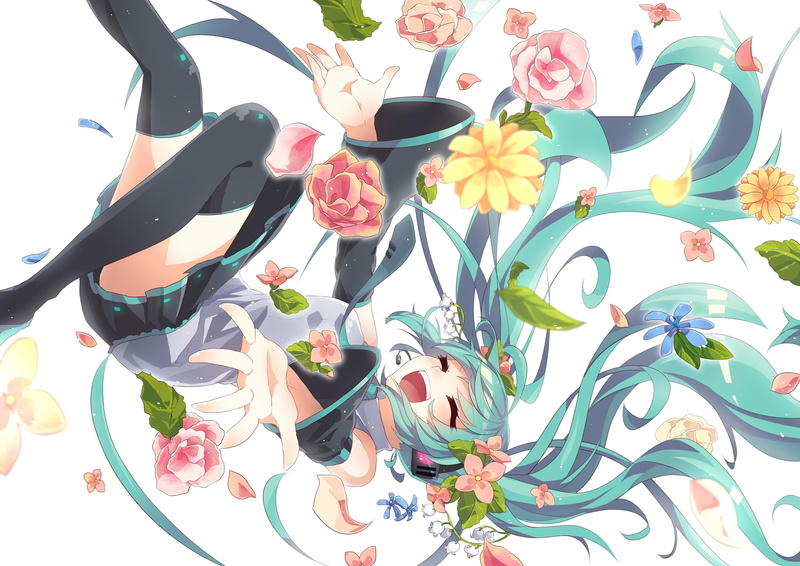 4K, flowering plant, close-up, indoors, flower, floral pattern, multi colored, creativity, beauty in nature, variation, table, Vocaloid, high angle view