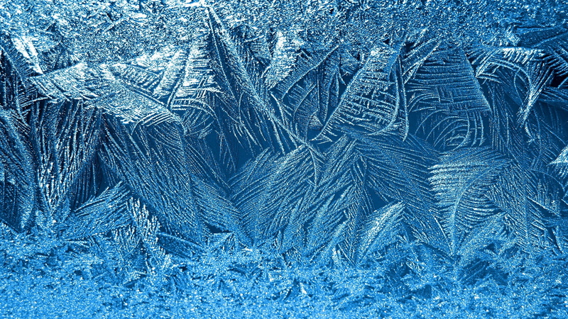 textured, pattern, coniferous tree, frozen, no people, textured effect, ice crystal, hd wide picture of frosted glass, 2K, snowing, frozen water, nature