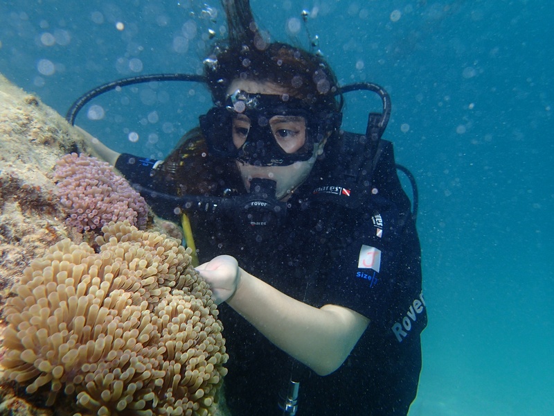 leisure activity, sabah, tourism, southeast asias malaysia, one person, aquatic sport, sea anemones, goggles, swimming, undersea, scuba diving, water, south-east asia