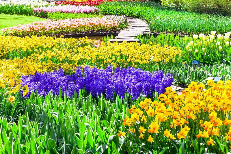 flowers, 5K, colorful, hyacinths, Netherlands, Lisse, daffodils, tulips, Keukenhof, Park