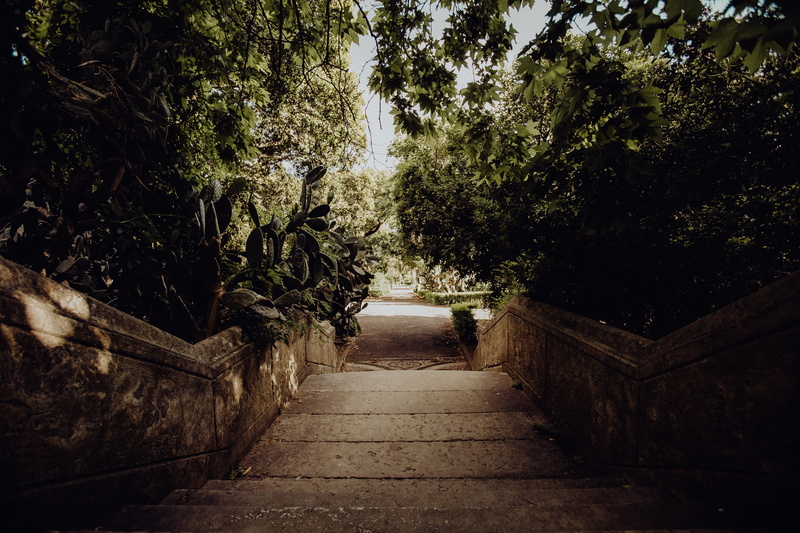 diminishing perspective, empty, lisboa, architecture, beauty in nature, tropical, growth, nature, botany, direction, outdoors, lisbon, botanical, garden