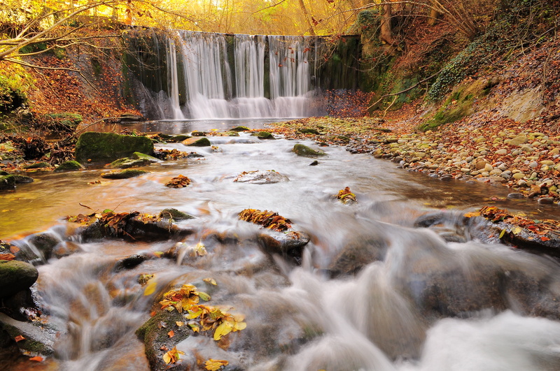 relax, freshness, suisse, stream, switzerland, color, water, scenics, rubiano, river, forest, swiss, 4K, falling, perspective, water falls, nature, d300