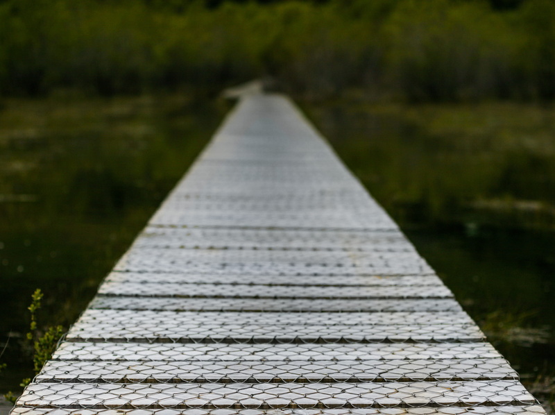 new zealand, tranquility, glenorchy, beauty in nature, diminishing perspective, path, focus on foreground, shape, plant, nature, tree, transportation, outdoors