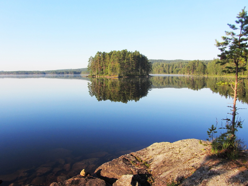 mirror lake, no people, non-urban scene, nature, reflection, scenics - nature, water, day, clear sky, blue, growth, arvika, remote, lake, tree, outdoors