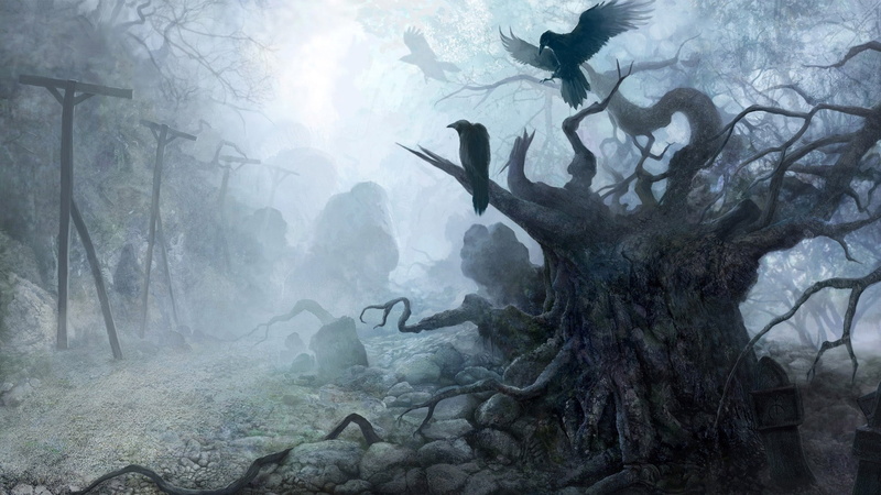 sea Life, spooky, sea, wildlife, sunbeam, day, beauty in nature, animals in the wild, nature, branch, horror, haze, animal wildlife, forest