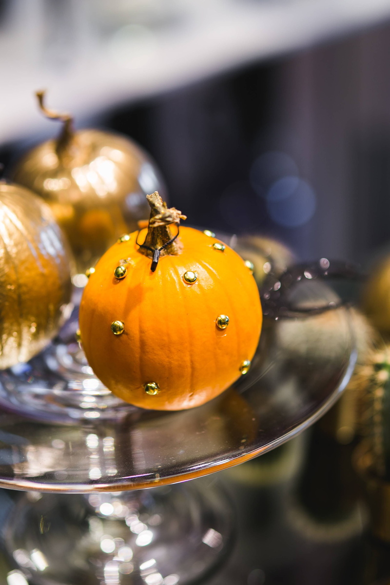 celebration, animal wildlife, Golden, 4K, gold, halloween, no People, animal themes, ornate, indoors, baubles, food, cactuses, focus on foreground, thanksgiving