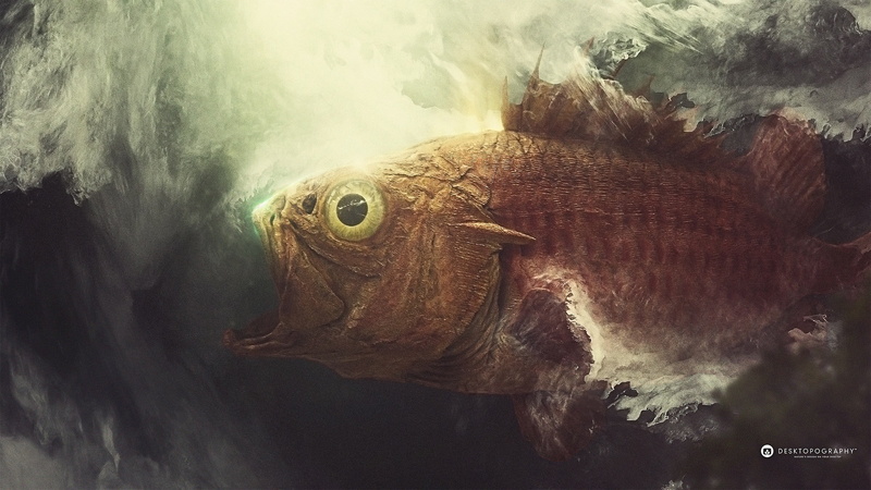 turtle, one animal, artwork, water, reptile, 2K, animals in the wild, vertebrate, nature, animal, underwater, sea, no people, close-up, animal eye, painting