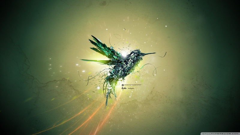 1080P, Colibri (bird), Desktopography