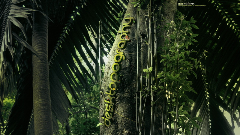 palm trees, 2K, green color, forest, Desktopography, no people, close-up, nature, digital art, jungle, outdoors, palm tree, beauty in nature, text, tree