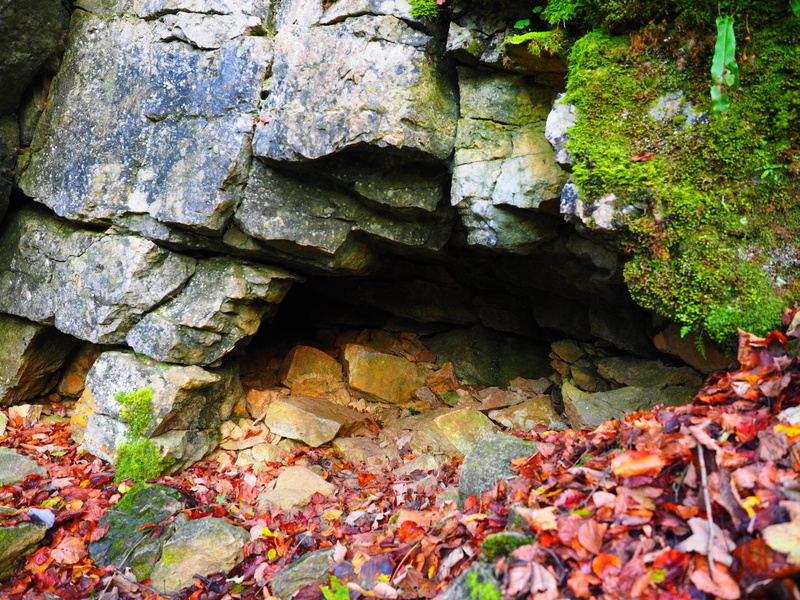 water cave, plant part, stone wall, moss, nature, bad urach, change, rock - object, clammy, baden württemberg, rock, grave stetten, cave, growth, plant