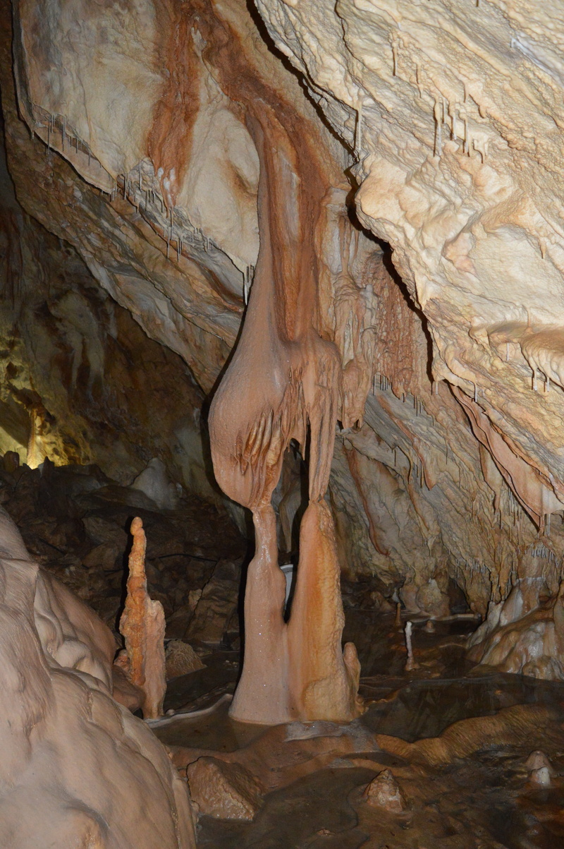 non-urban scene, eroded, no people, day, sandstone, Rock, tranquility, physical geography, Cave, Subterranean, rock - object, textured, arid climate, tree