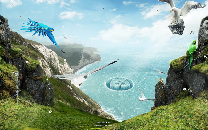 spread wings, nature, day, parrot, vertebrate, beauty in nature, sky, scenics - nature, outdoors, sea, birds, water, animal themes, logo, assorted, digital art